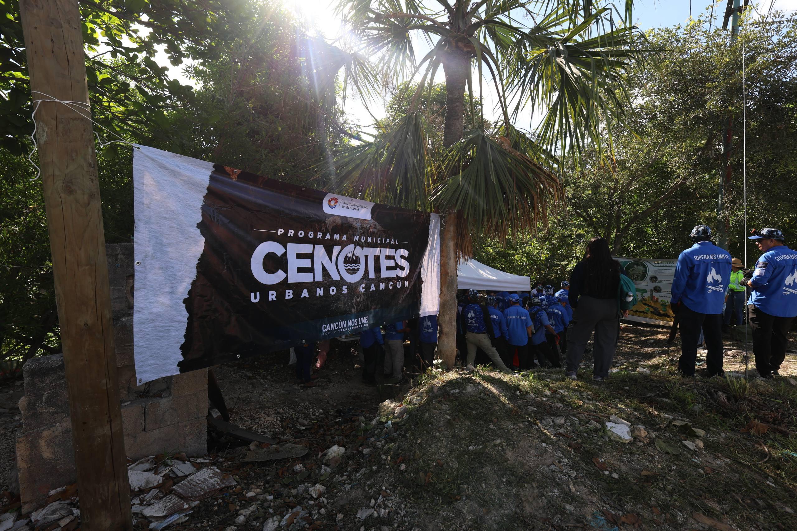 uploads/6/32/01 (2351).Jpeg